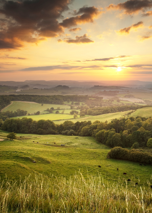 Small group tours Best of Northumbria