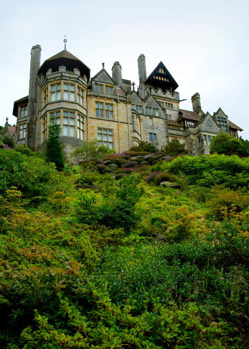 Travel Trade & Groups Cragside