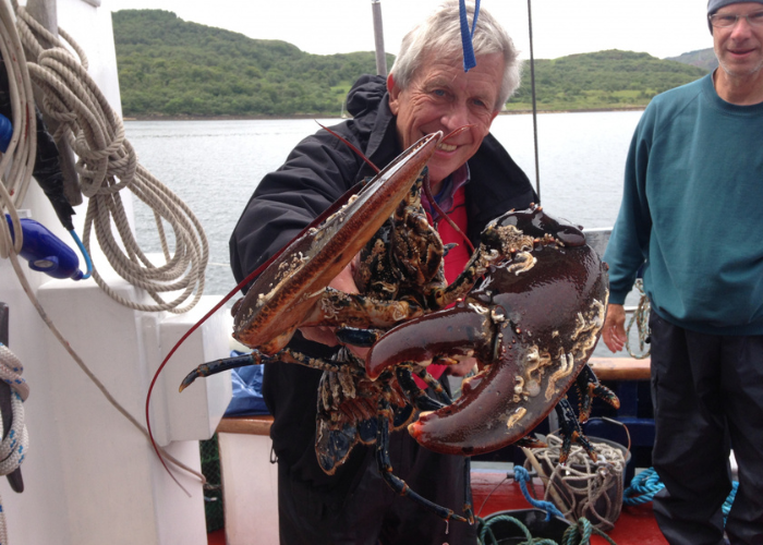 Lobster fishing in Scotland